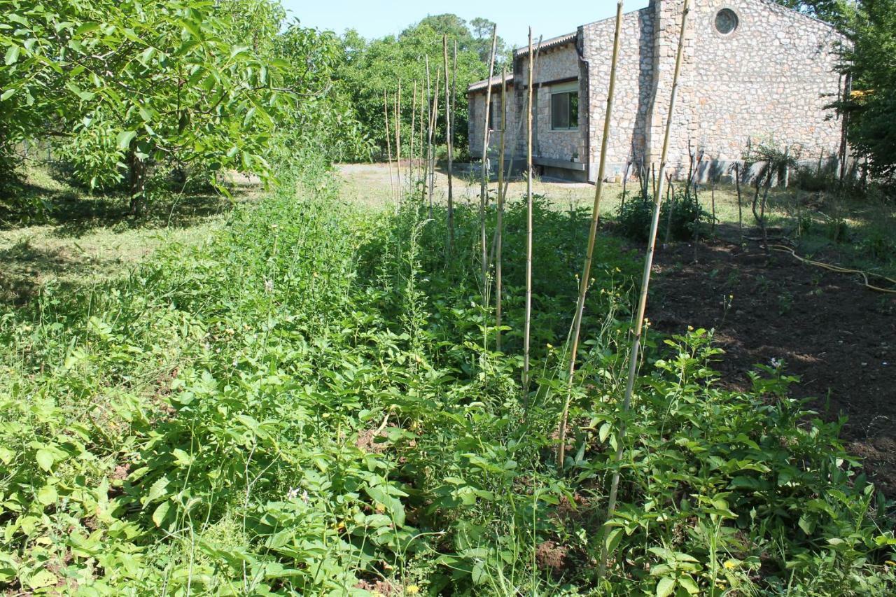 Pili Country House Екстер'єр фото